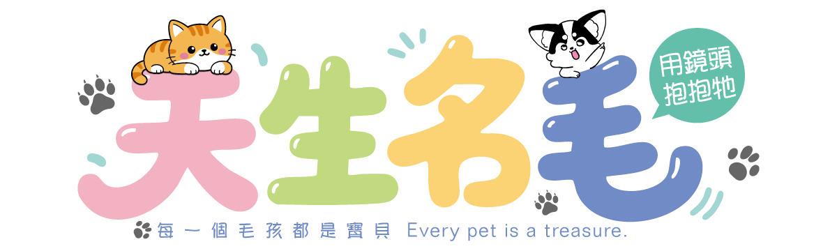 天生名毛 寵物攝影工作室